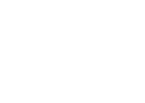 Logo Hossegor